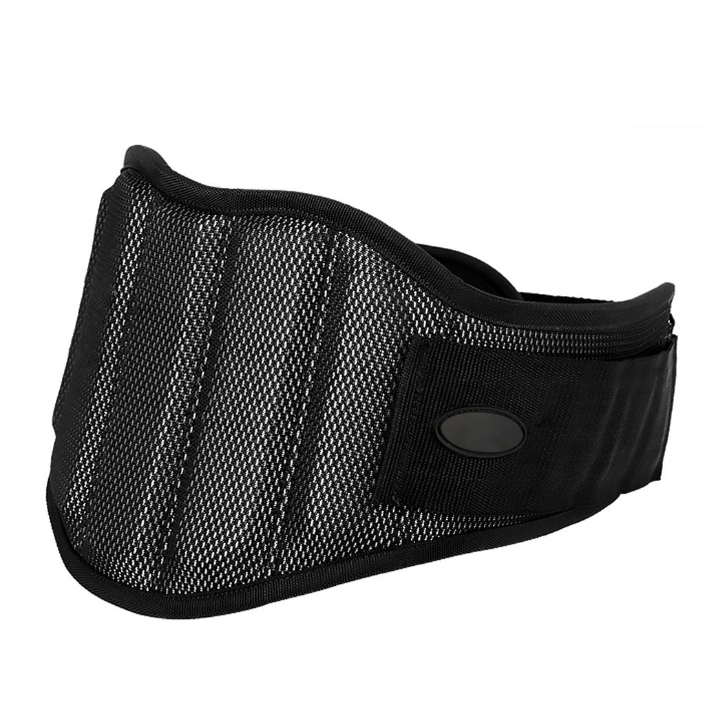 Lifting Belt