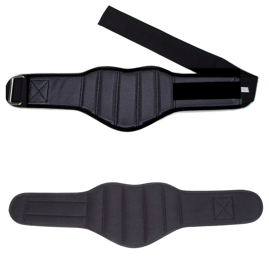 Lifting Belt